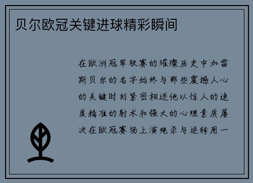 贝尔欧冠关键进球精彩瞬间