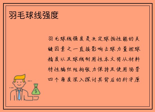 羽毛球线强度